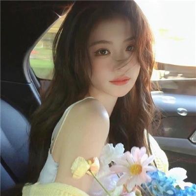 梅花档案